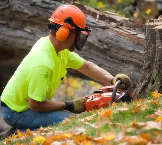 tree services Luling